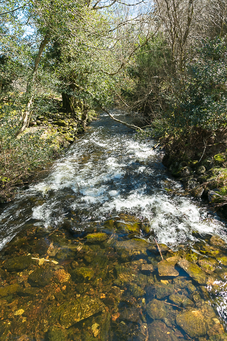 Wicklow Mountains National Park Apr 2018 (017)